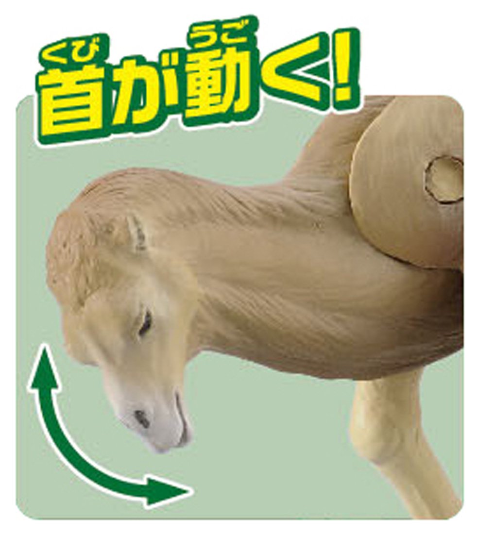 Amazon.co.jp: アニア AS-18 フタコブラクダ : おもちゃ